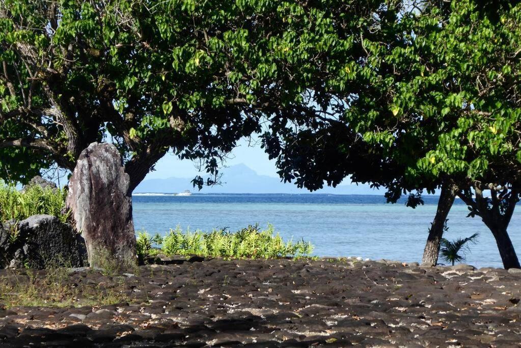 Raiatea, Opoa, Studio Du Fare Reve, Acces Mer Privatif Exterior photo