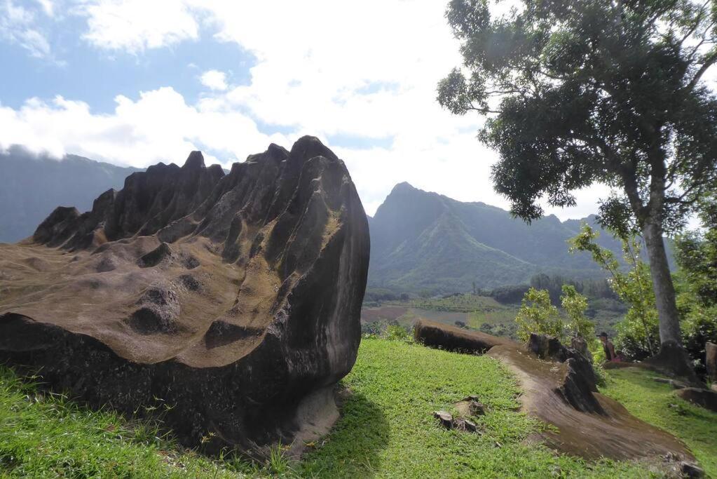 Raiatea, Opoa, Studio Du Fare Reve, Acces Mer Privatif Exterior photo