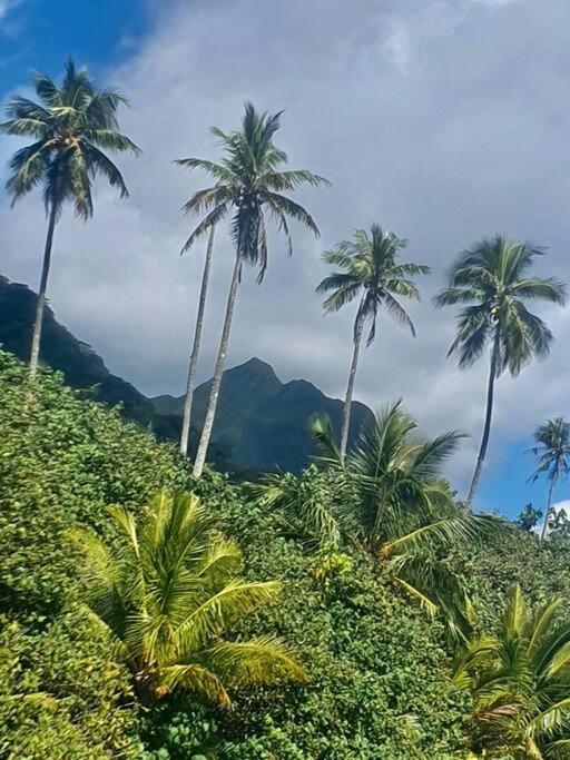 Raiatea, Opoa, Studio Du Fare Reve, Acces Mer Privatif Exterior photo